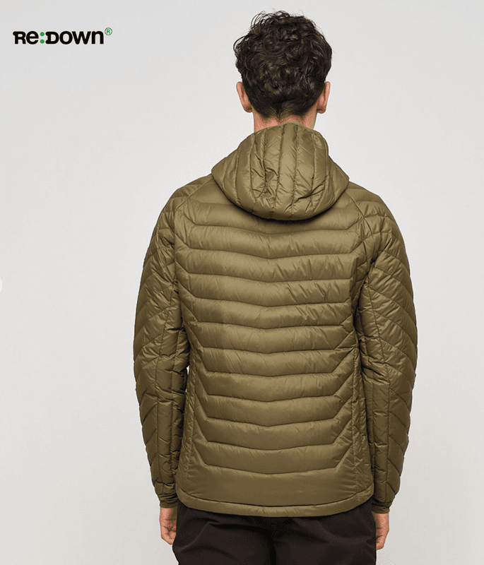 Skogstad Salen Ivy Green